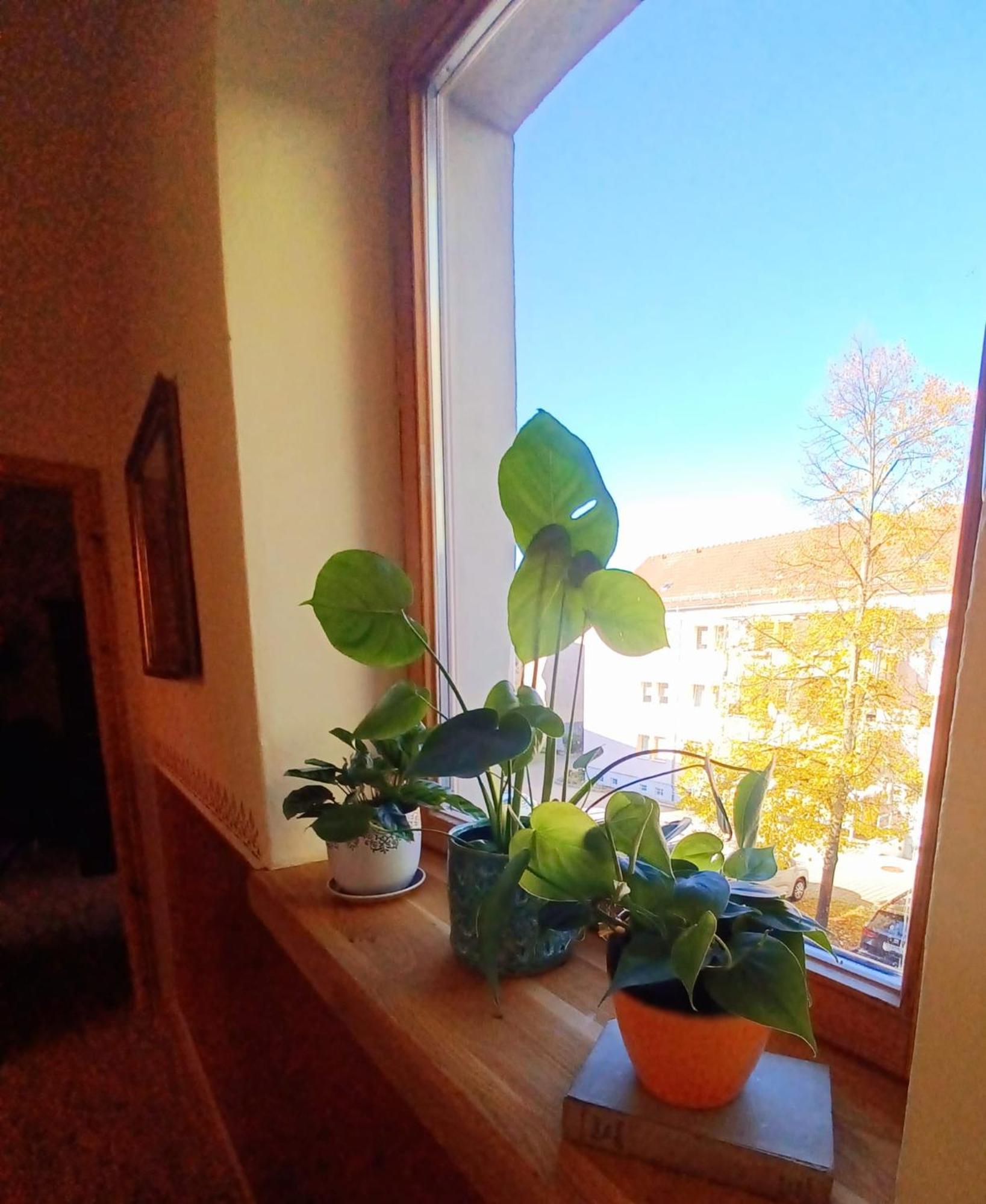 Ferienwohnung Antik Gotha Buitenkant foto