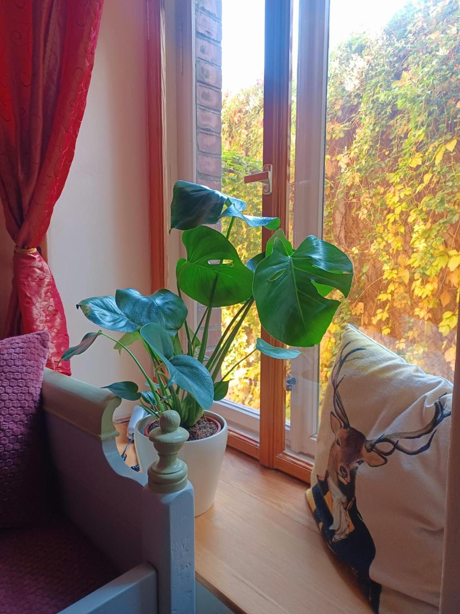 Ferienwohnung Antik Gotha Buitenkant foto